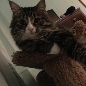 Meet your Posher, Julia